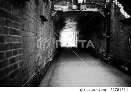 A cat running up from the other side of the tunnel A cat running up from the other side of the tunnel 76761734