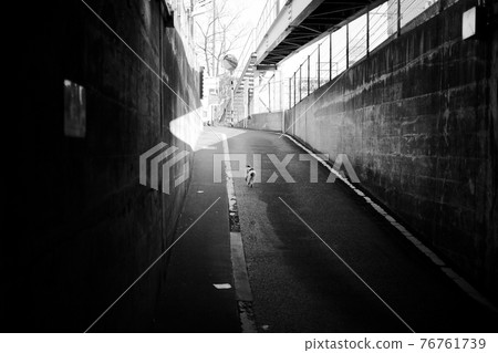 一隻可愛的貓穿過隧道 一隻可愛的貓穿過隧道 76761739