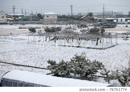 [Winter] First snow image [Landscape] 76761774