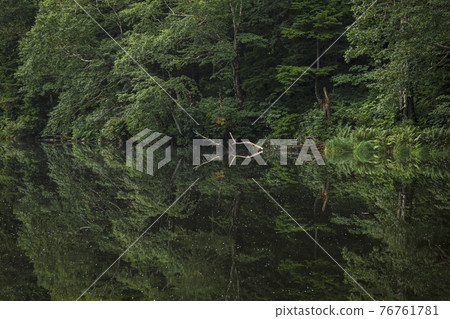 The reflection on the lake surface draws a mysterious green pattern 76761781