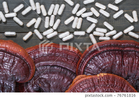 Ling zhi mushroom and capsule on wood table Ling zhi mushroom and capsule on wood table 76761816