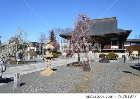 I went to Tomochi Temple # 13 76761977