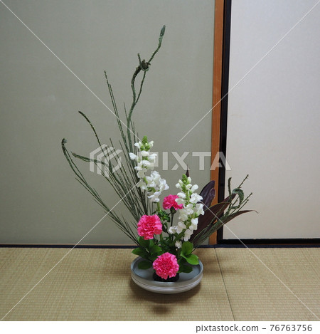 花道工作 76763756