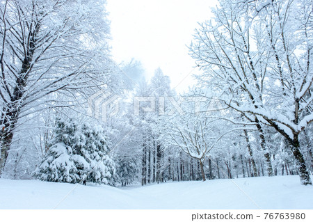 里山雪景（平山高原） 76763980
