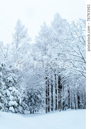 里山雪景(平山高原) 里山雪景(平山高原) 76763981