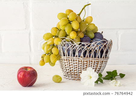 Just picked plums and grapes in wicker basket on white backdrop. Just picked plums and grapes in wicker basket on white backdrop. 76764942