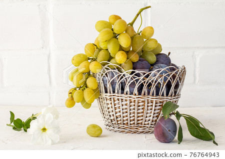 Just picked plums and grapes in wicker basket on white backdrop. 76764943