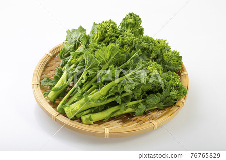 Zaru油菜花 76765829