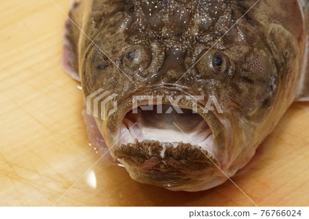 Stargazer's mouth 76766024