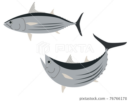 魚裝飾材料“鰹魚” 魚裝飾材料“鰹魚” 76766178