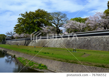 Kumamoto city area around Kumamoto Castle (Nagabei Street) Spring landscape 76766552