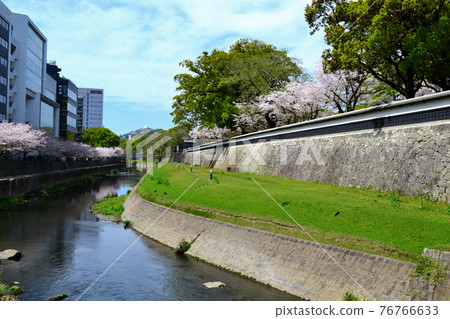 熊本城周邊的熊本市區（長北大街） 春景 76766633