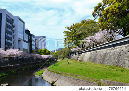 熊本城周邊的熊本市區（長北大街） 春景 76766634