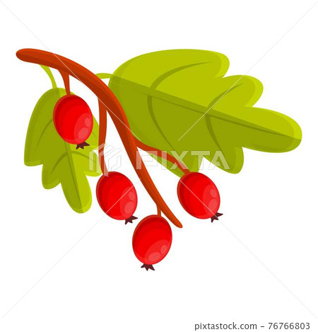 Branch hawthorn icon, cartoon style 76766803
