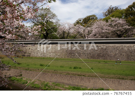 Kumamoto city area around Kumamoto Castle (Nagabei Street) Spring landscape 76767455