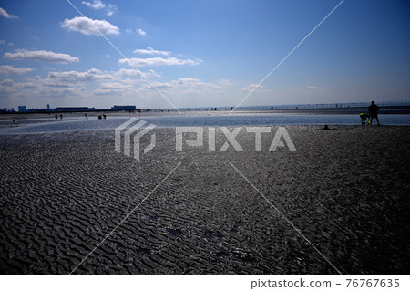 船橋三番瀨海濱公園 船橋三番瀨海濱公園 76767635