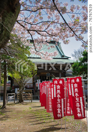 Tekona Reijindo 和 Sakura 76767639