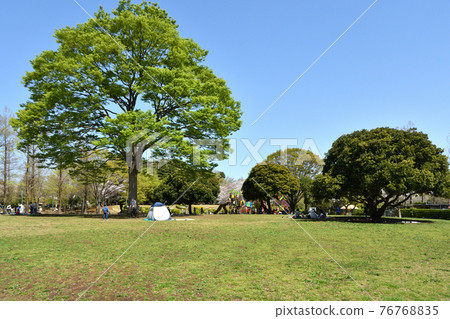 Minuma field walk: Osaki Park Minuma field walk: Osaki Park 76768835