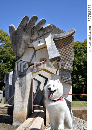 Samoyed Inu Mibu Town Naughty Park 物件及紀念照 Samoyed Inu Mibu Town Naughty Park 物件及紀念照 76768981