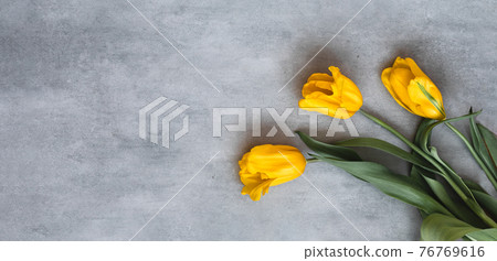 Gift or yellow tulip flowers on gray table. 76769616