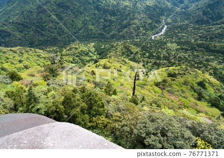 屋久島的鼓岩 76771371