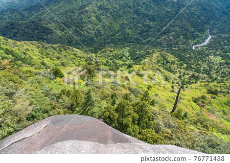 Drum rock of Yakushima 76771488