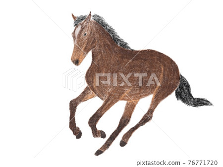 Horse Horse 76771720