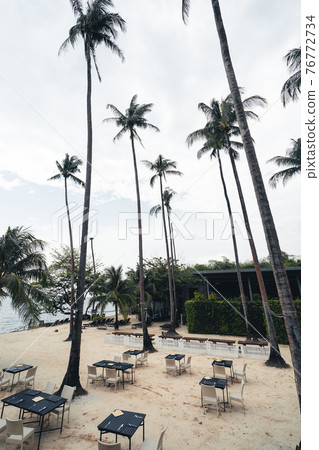 Coconut trees in a seaside resort Coconut trees in a seaside resort 76772734