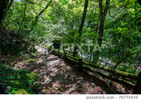 翠綠時的菊池峽美景 76773439