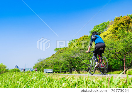 Spring Tama River Fresh Green Cycling Road (near Fuchu City) 76775064