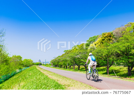 春多摩河鮮綠自行車道（府中市附近） 76775067