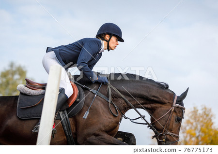 Sportswoman jumps a horse over an obstacle Sportswoman jumps a horse over an obstacle 76775173