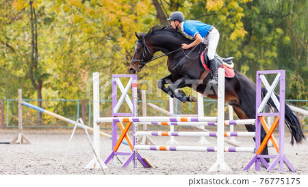Young man jumps a horse on show jumping event 76775175