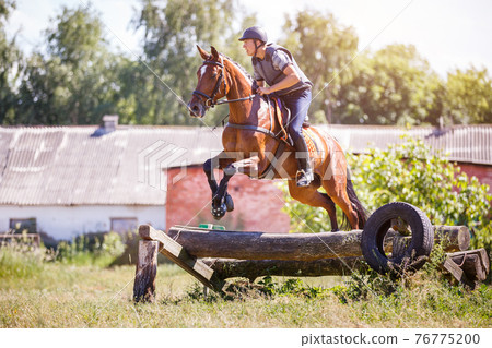 Rider jumps horse over log on cross-country course 76775200