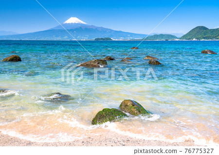 《靜岡縣》來自富士山和駿河灣/伊豆半島 76775327