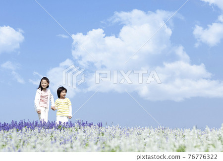 Girls and boys walking in the flower field 76776322