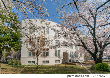 The former Azabu 3rd Infantry Regiment Barracks in Roppongi, Minato Ward, Tokyo, and cherry blossoms in full bloom 76776872