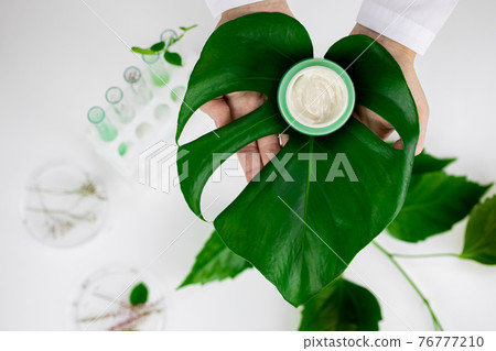 female hands hold skincare cream in glass jar on huge oily tropical plant leaf female hands hold skincare cream in glass jar on huge oily tropical plant leaf 76777210