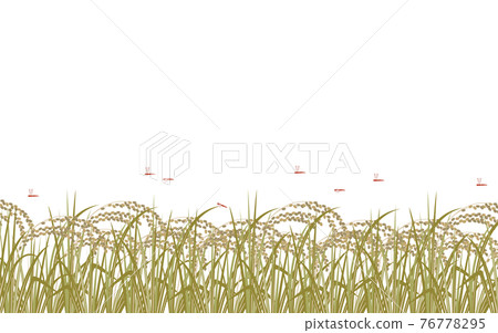 Illustration of fluffy rice and red dragonfly 76778295