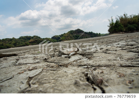 Drought Water Shortage Tainan Wushantou Lake of Dreams Drought Taiwan Tainan 干ばつ Drought Water Shortage Tainan Wushantou Lake of Dreams Drought Taiwan Tainan 干ばつ 76779659