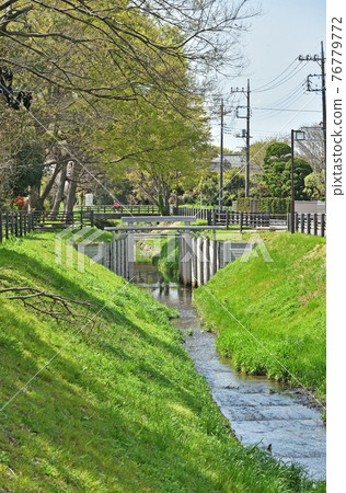 水沼田間漫步：水沼通仙堀 76779772