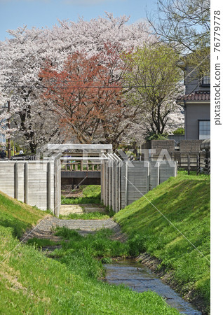 水沼田間漫步：水沼通仙堀 76779778