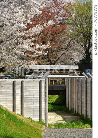 水沼田間漫步：水沼通仙堀 76779779