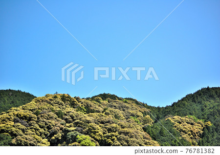 Satoyama, Shizuoka City 76781382