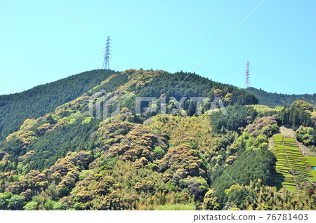 靜岡市里山水美色 靜岡市里山水美色 76781403