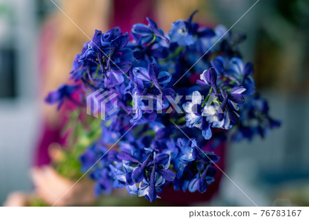 close up delphinium flowers and space for your text. Celebration card. close up delphinium flowers and space for your text. Celebration card. 76783167