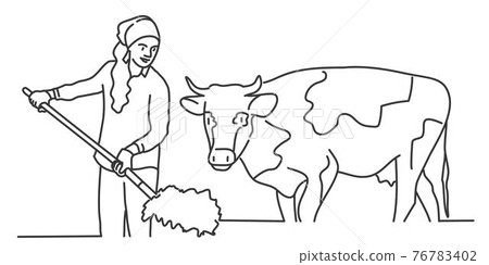 Young woman working in stall, feeding cows with hay.  76783402