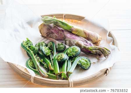 Wild plants, kogomi, mountain udo Wild plants, kogomi, mountain udo 76783832