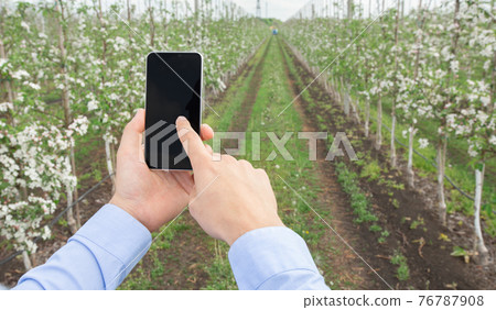 Modern technology, app in agricultural, growing activity at spring blooming Modern technology, app in agricultural, growing activity at spring blooming 76787908