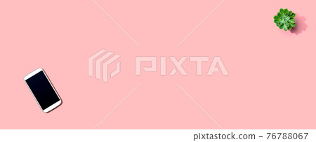 Smartphone with a succulent plant 76788067